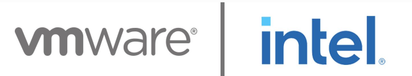 vmware intel logo 1.jpg