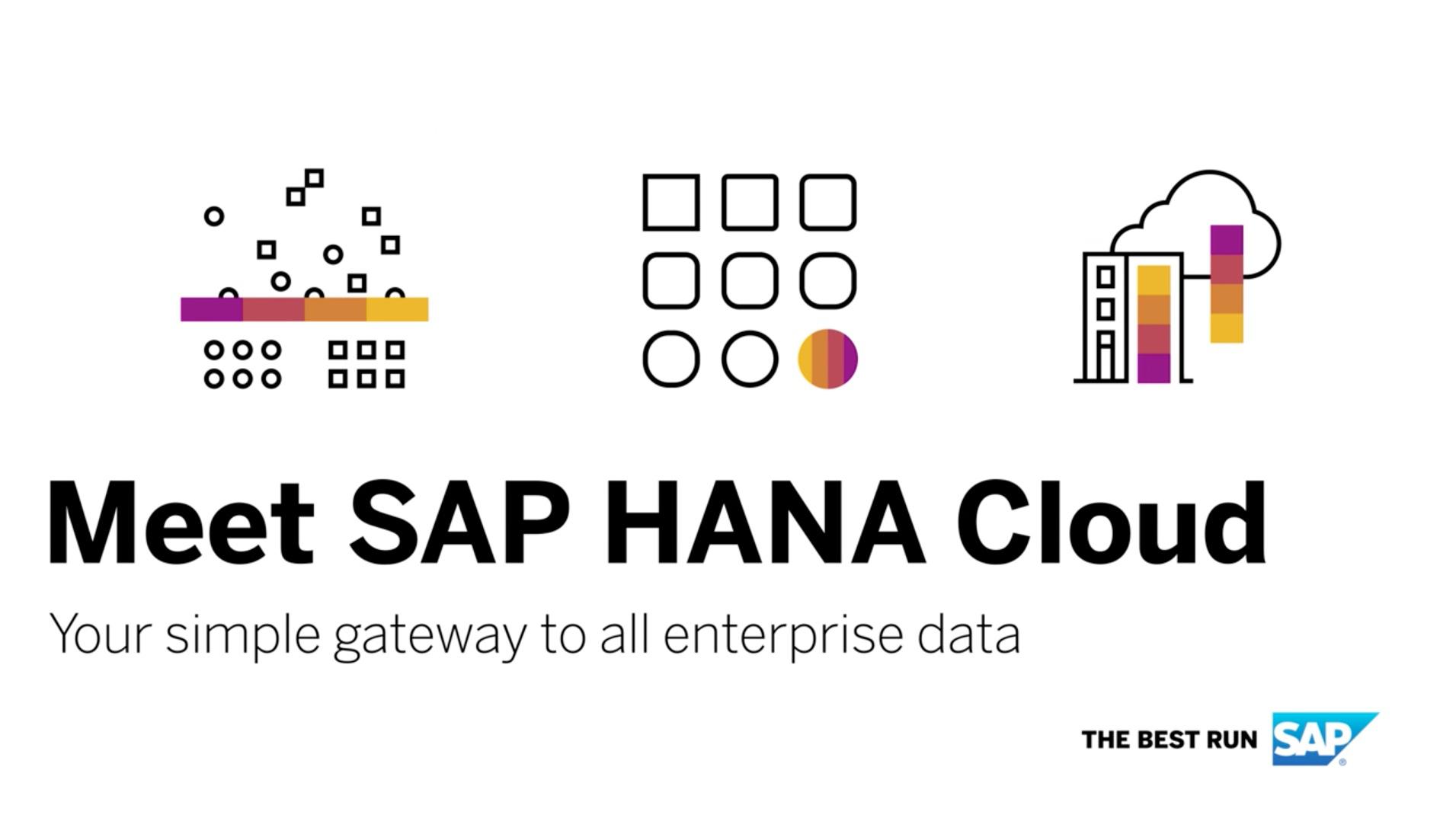 SAP HANA CLOUD1.jpg